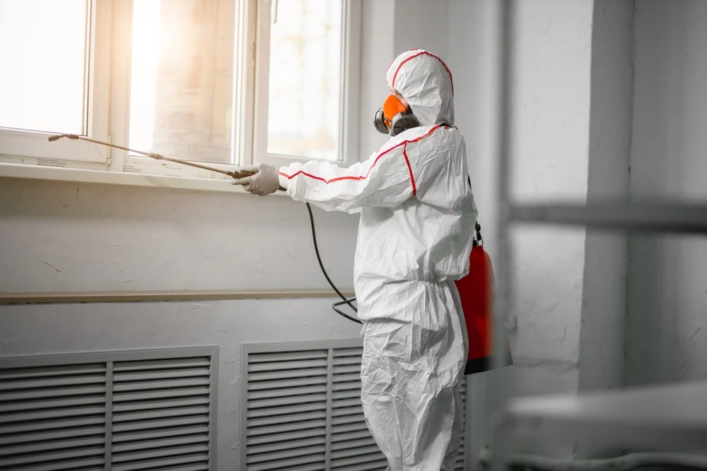 Professional mold remediation services in Wallis, TX
